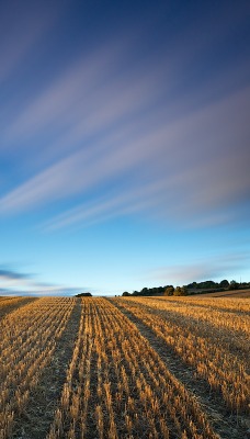 природа поле горизонт небо nature field horizon the sky