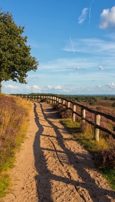 природа дорога забор деревья горизонт nature road the fence trees horizon