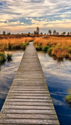 природа мост трава облака небо река nature the bridge grass clouds sky river