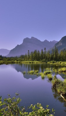 природа озеро деревья горы nature the lake trees mountains