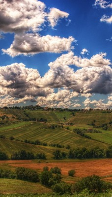 природа поле деревья облака горизонт nature field trees clouds horizon