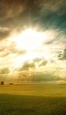 природа небо облака горизонт трава солнце nature the sky clouds horizon grass sun