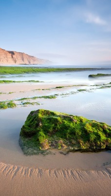 камень мох вода stone moss water