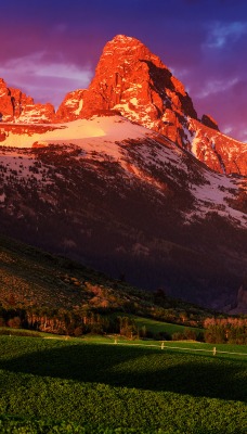 природа горы скалы трава деревья nature mountains rock grass trees