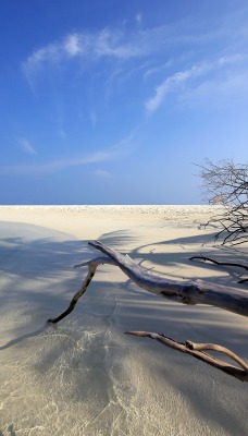 природа море берег горизонт nature sea shore horizon