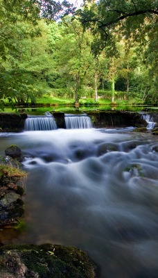 природа река деревья лес nature river trees forest