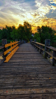 природа мост деревья река облака nature the bridge trees river clouds