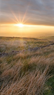 поле солнце трава небо field the sun grass sky