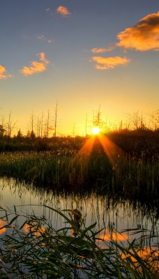 природа озеро солнце восход небо облака деревья nature the lake sun sunrise sky clouds trees