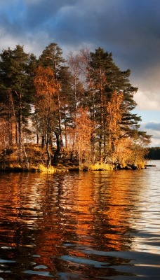 природа деревья озеро небо облака nature trees the lake sky clouds