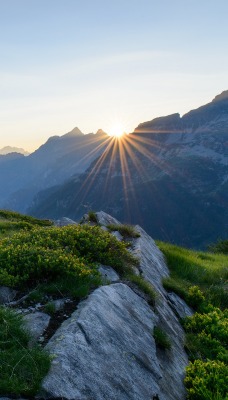 природа солнце деревья трава скалы горы nature the sun trees grass rock mountains