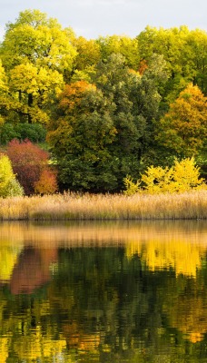 осень озеро вода отражение