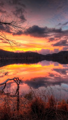 природа озеро отражение деревья облака небо nature the lake reflection trees clouds sky