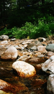 природа камни река деревья nature stones river trees