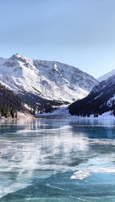 природа горы деревья лед nature mountains trees ice