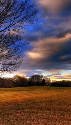 природа небо облака деревья поле nature the sky clouds trees field