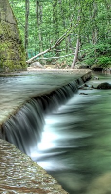 природа река водопад лес деревья nature river waterfall forest trees