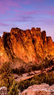 природа горы скалы деревья nature mountains rock trees