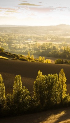 природа деревья nature trees