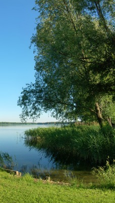 озеро природа небо the lake nature sky