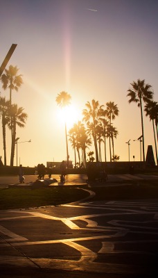 Закат солнце пальмы Sunset the sun palm trees