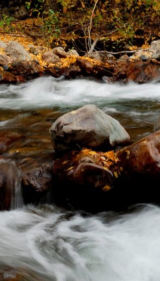 речка камни вода