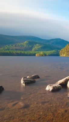 природа река камни деревья nature river stones trees