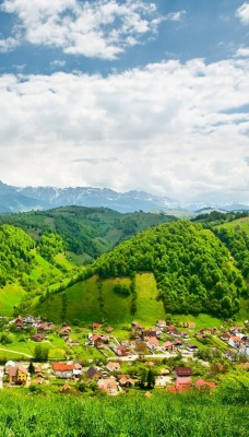 зелень лето городок холмы greens summer town hills