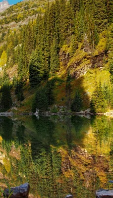 природа скалы горы деревья лес отражение река nature rock mountains trees forest reflection river