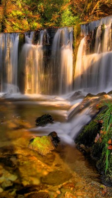 водопад лес осень waterfall forest autumn