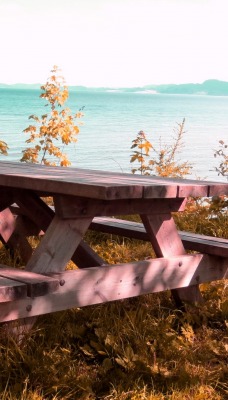 стол озеро лавочки table the lake benches