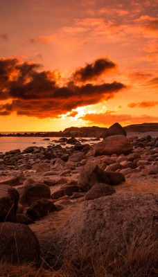 природа вечер закат небо облака море горизонт nature evening sunset the sky clouds sea horizon