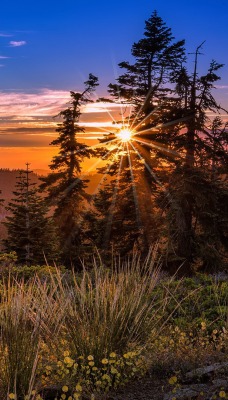 закат деревья горы sunset trees mountains