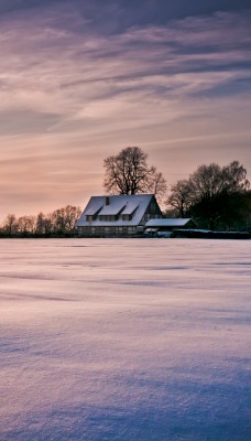 природа снег поле деревья дом nature snow field trees the house