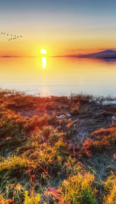 природа солнце горизонт река nature the sun horizon river