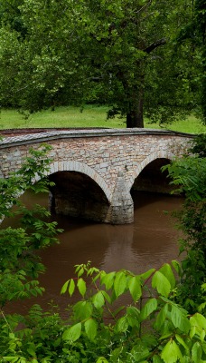 природа мост деревья река nature the bridge trees river