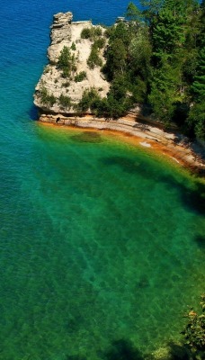 природа море деревья nature sea trees