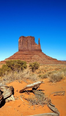 природа пустыня большой каньон nature desert great canyon