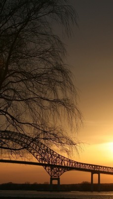 природа мост деревья nature the bridge trees