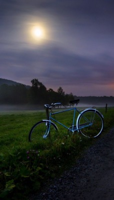 природа велосипед трава дорога деревья nature bike grass road trees