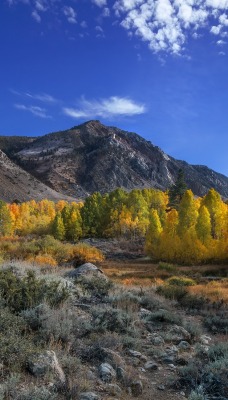 горы осень деревья mountains autumn trees