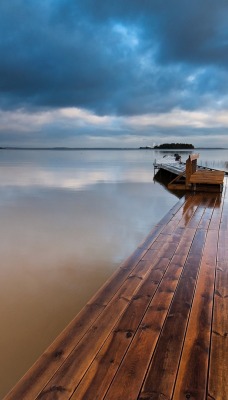 природа море горизонт деревья мост облака небо nature sea horizon trees the bridge clouds sky