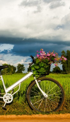 природа велосипед травав nature bike travel