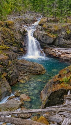 природа водопад лес трава деревья nature waterfall forest grass trees