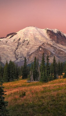 природа деревья горы поле nature trees mountains field