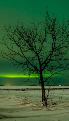 природа северное сияние деревья зима снег дорога nature North lights trees winter snow road