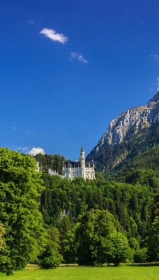 природа деревья скалы горизонт небо облака nature trees rock horizon the sky clouds