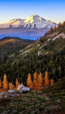 природа деревья горы облака озеро nature trees mountains clouds the lake