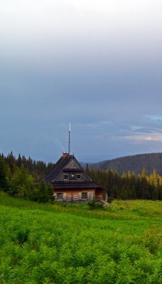 гора ели деревья дом mountain ate trees the house