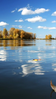 вода озеро осень water the lake autumn